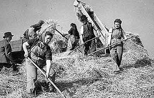 Land girls